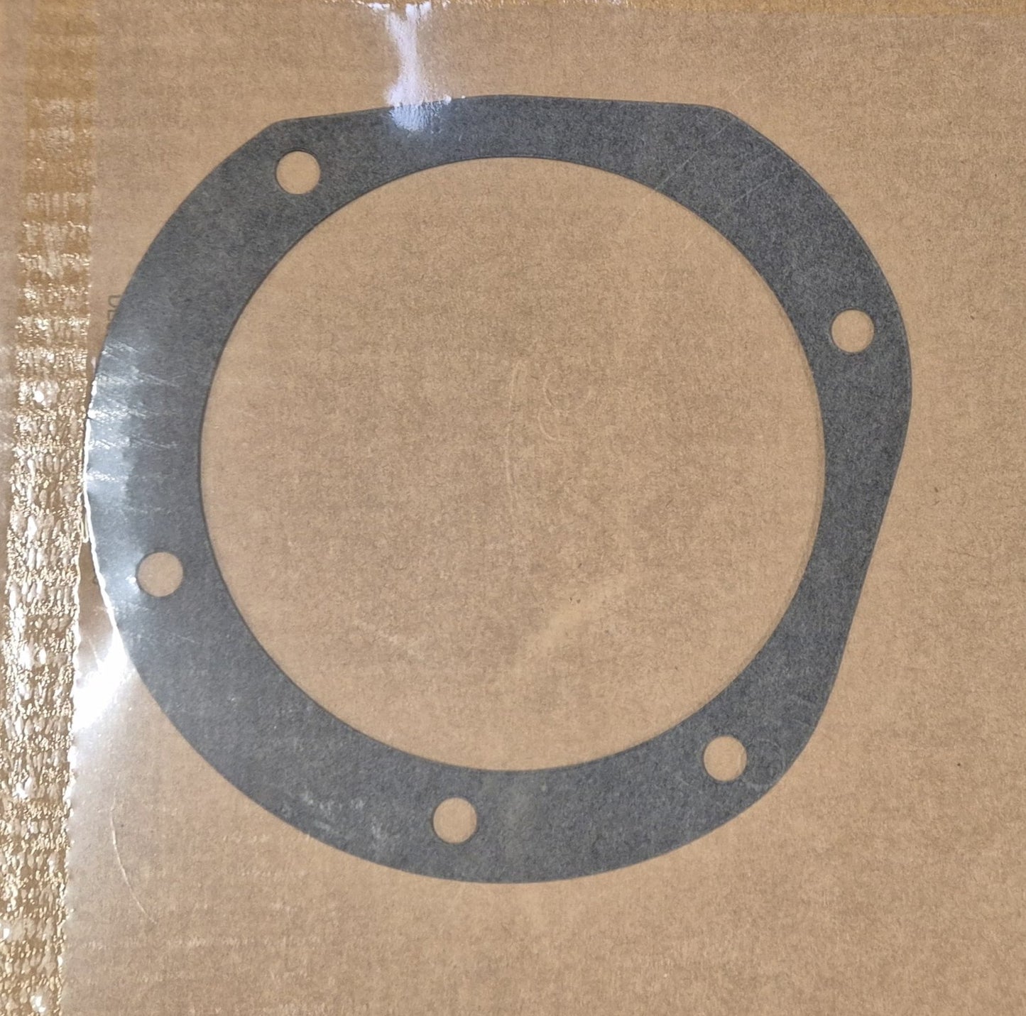 Dichtung Pumpenträger OM314